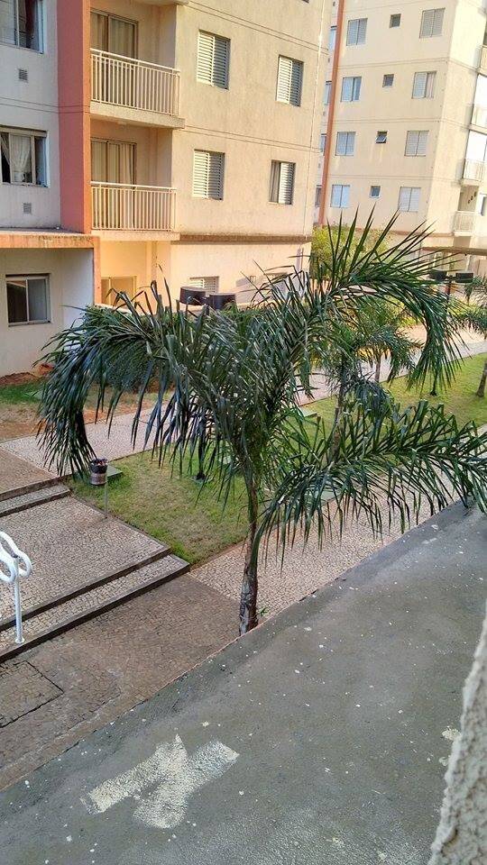 apartamento venda Homero Thon Santo André apartamento venda Homero Thon Santo André