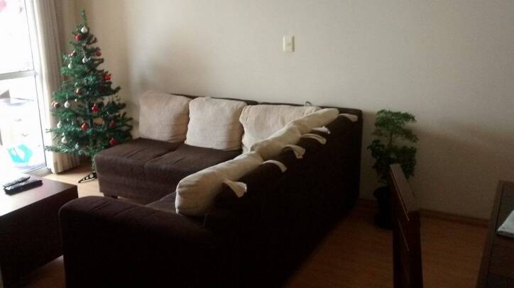 apartamento venda Vila Pires Santo André apartamento venda Vila Pires Santo André