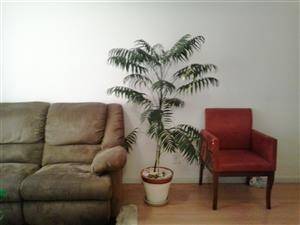 apartamento venda Parque Erasmo Assunção Santo André apartamento venda Parque Erasmo Assunção Santo André
