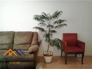 Apartamento venda Parque Erasmo Assunção Santo André Apartamento venda Parque Erasmo Assunção Santo André
